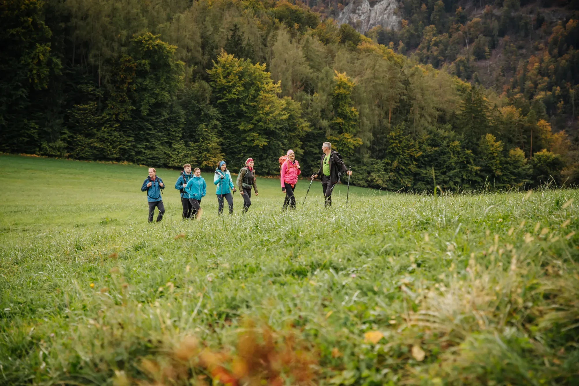 Eine Gruppe wandert gemeinsam über eine Wiese am Waldrand in der Weststeiermark